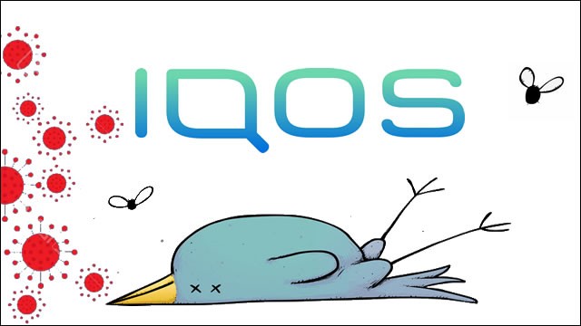 iqos corona