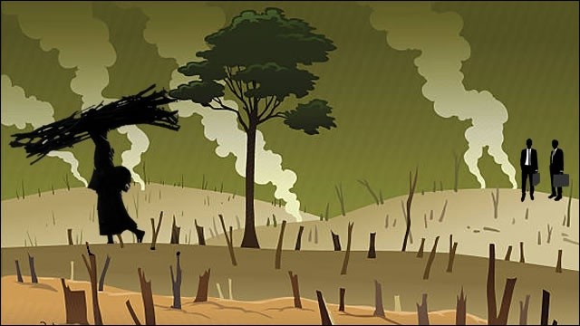 ontbossing zimbabwe voor tabak-1