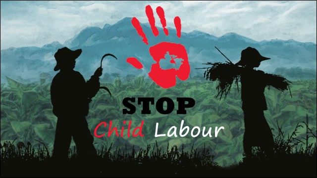 tobacco child labour-1