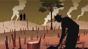 tabaksboeren zimbabwe gedwongen om oerwoud te vernietigen